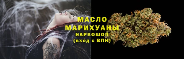 индика Заволжск