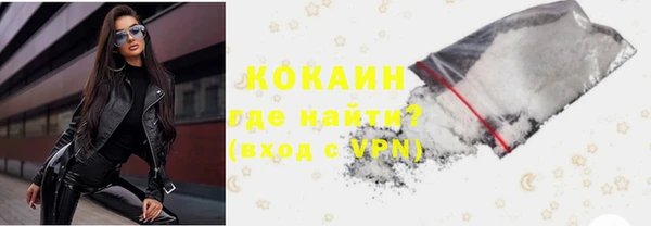 индика Заволжск