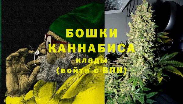 индика Заволжск