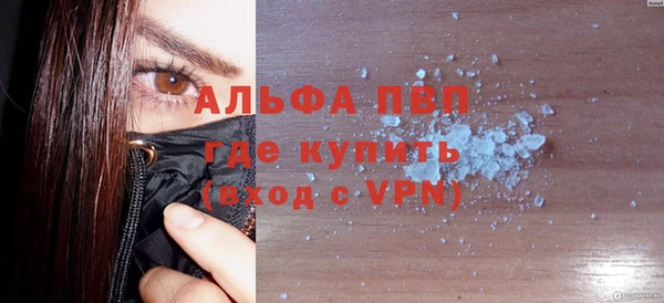 индика Заволжск