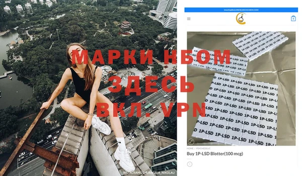 индика Заволжск
