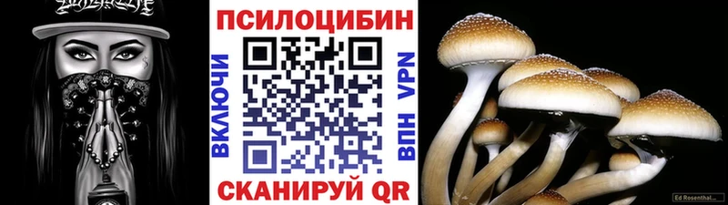 Купить  Буинск  Галлюциногенные грибы Psilocybine cubensis 
